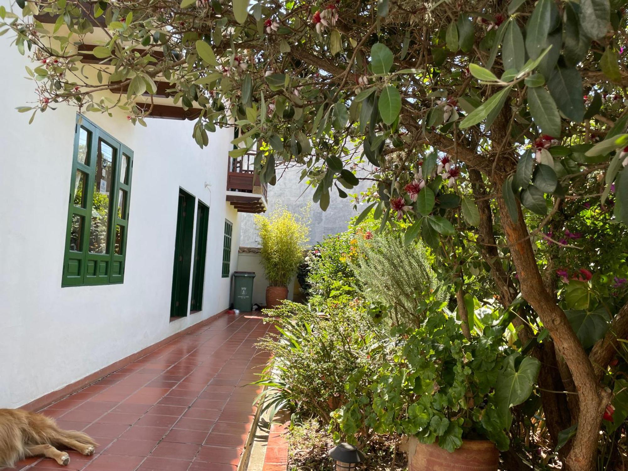 Hostal El Pino Villa de Leyva Esterno foto